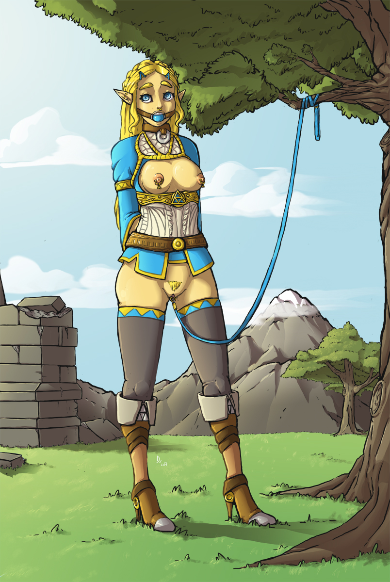 zelda the booty of breath wild If it exists there is porn for it